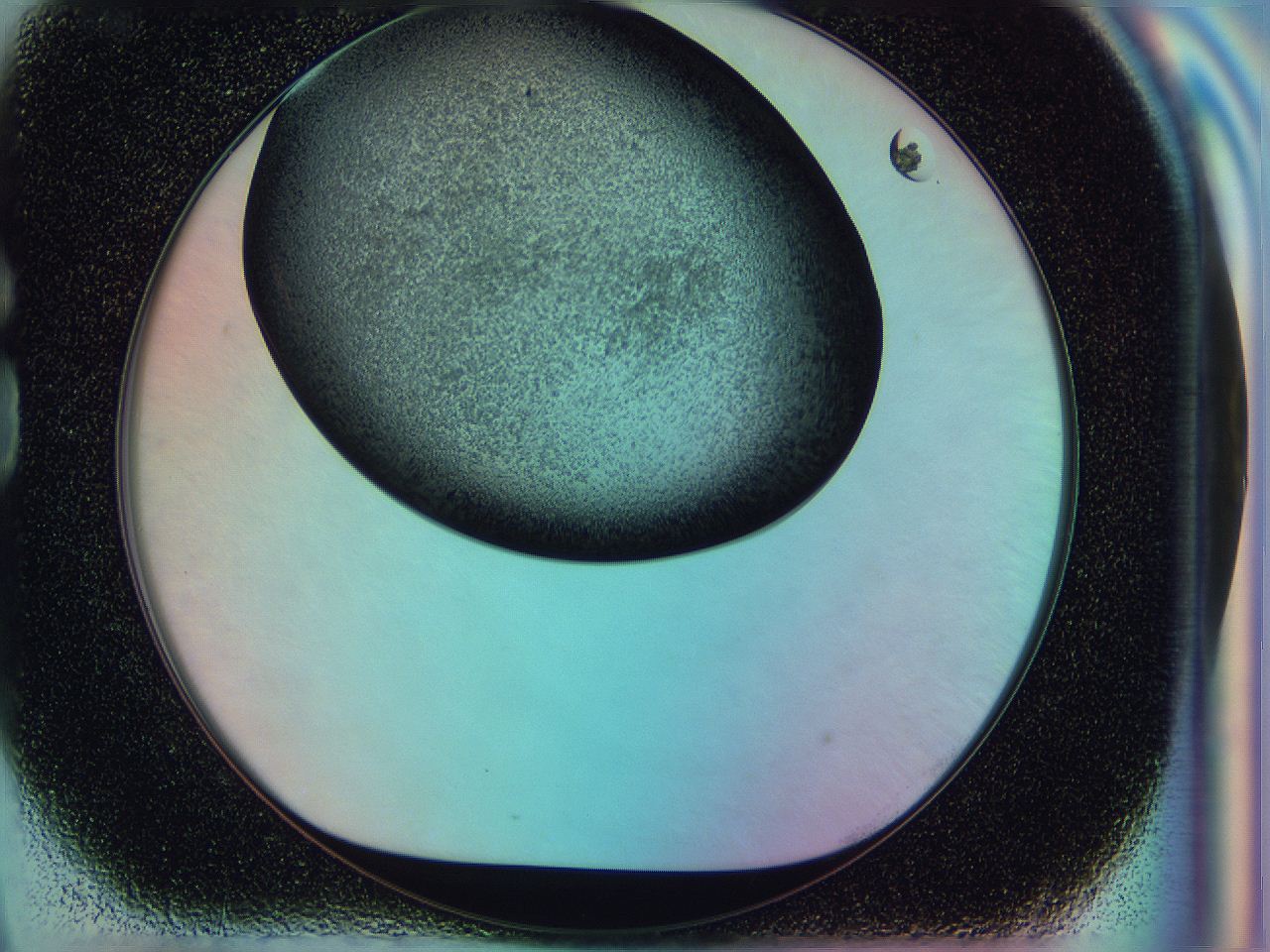 0583_G9_ImagerDefaults_3.jpg