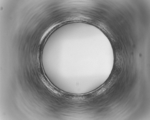 X0000054230788200508171510.png