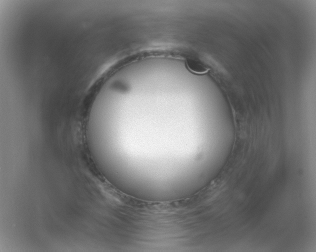 X0000054331208200508111910.png