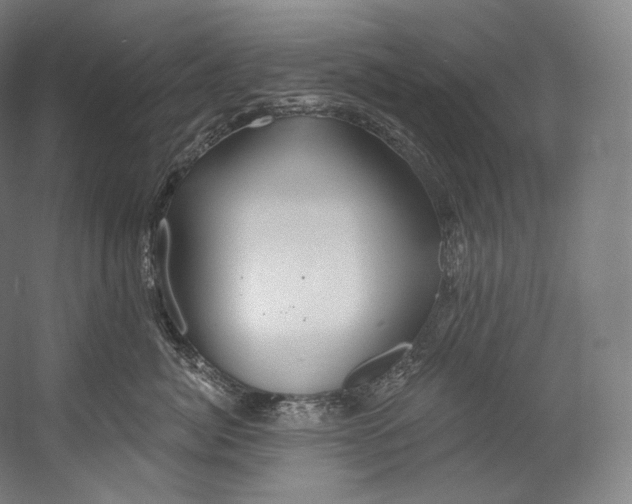 X0000055210764200508301321.png