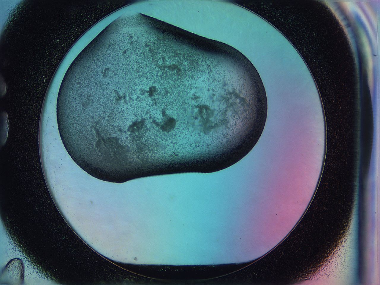 0583_G11_ImagerDefaults_3.jpg