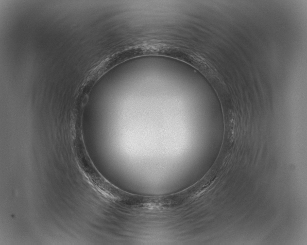 X0000055210496200508301325.png