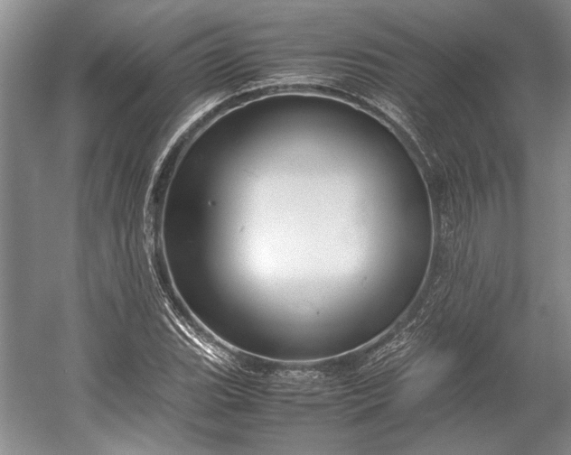 X0000055061119200508161638.png
