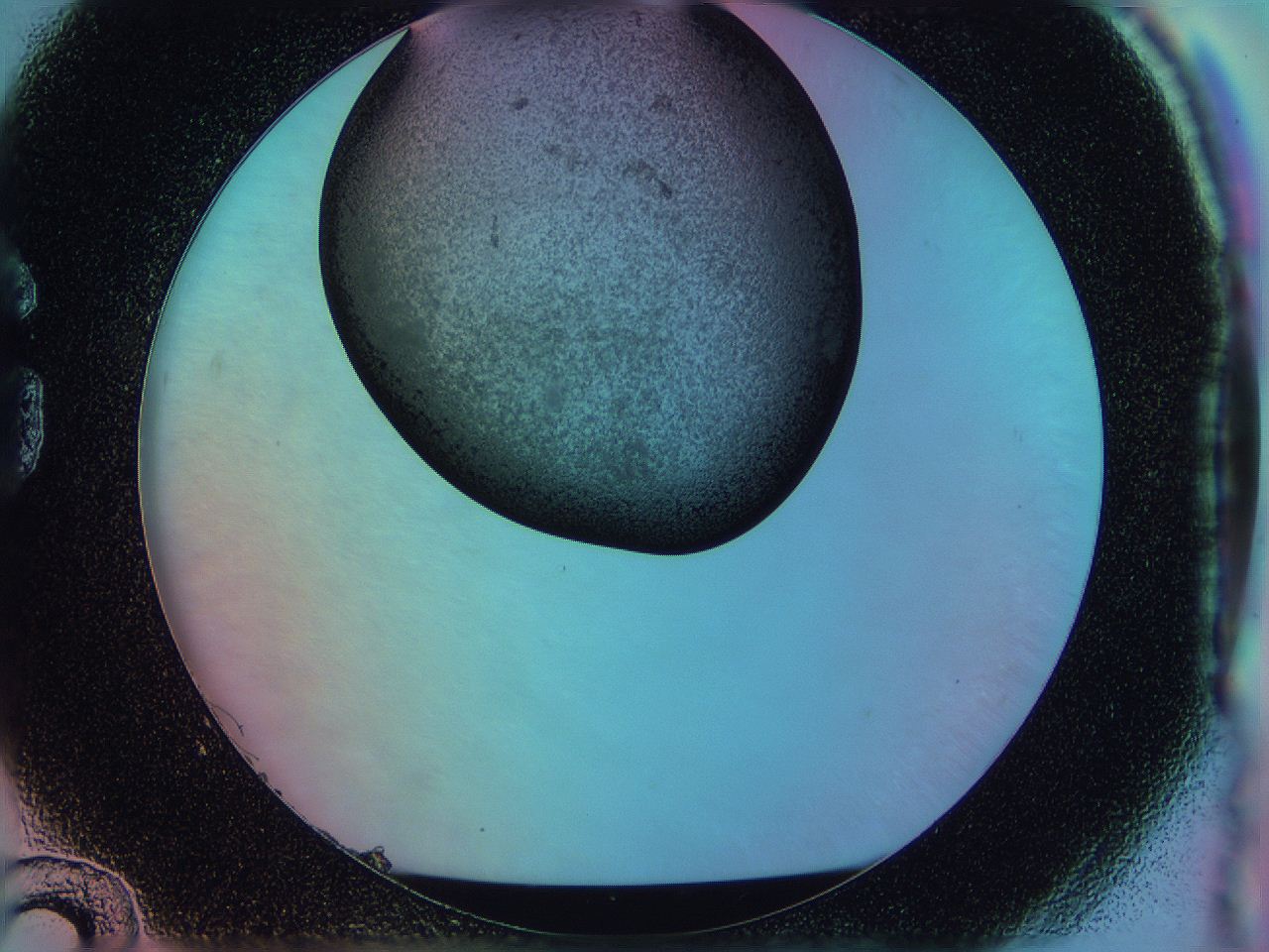 0583_G12_ImagerDefaults_3.jpg