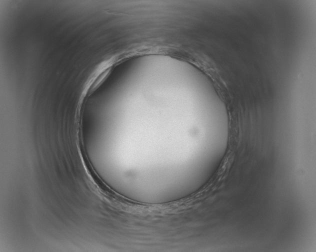 X0000055210003200508301334.png