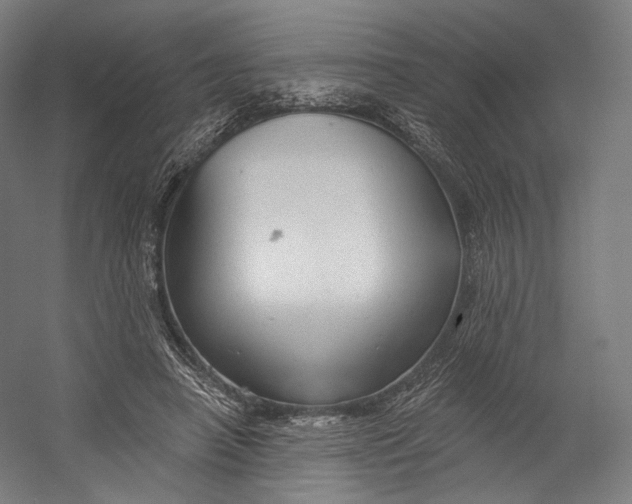 X0000055210450200508301326.png