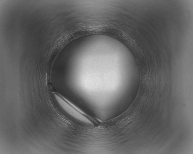 X0000055210689200508301322.png