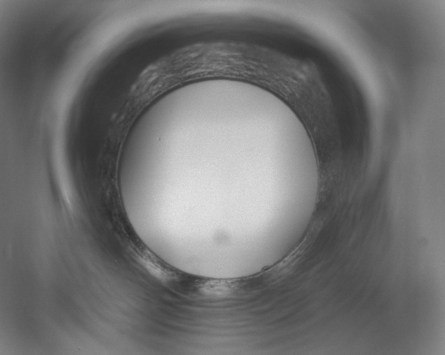 X0000055210142200508301331.png