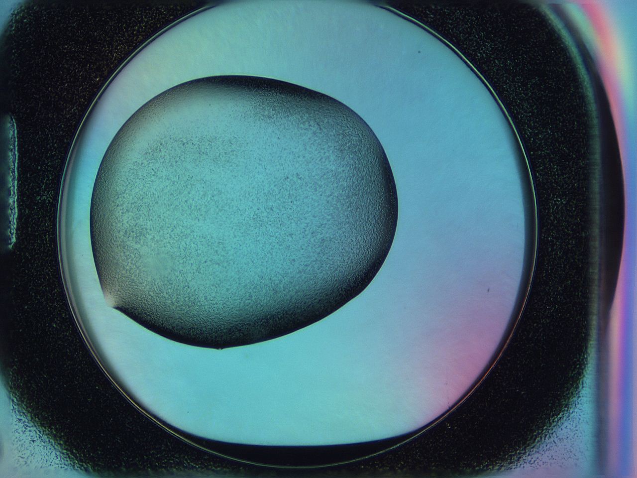 0583_H6_ImagerDefaults_2.jpg