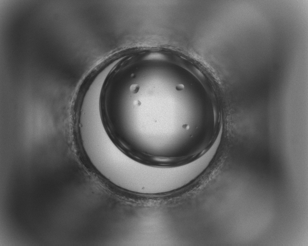X0000045451122200502011650.png