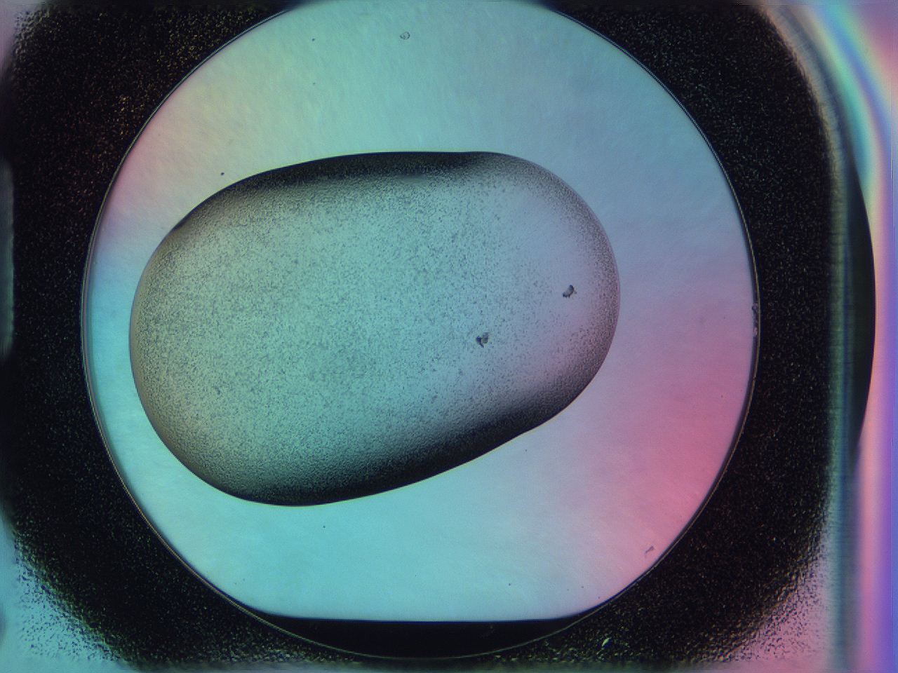 0583_H7_ImagerDefaults_3.jpg