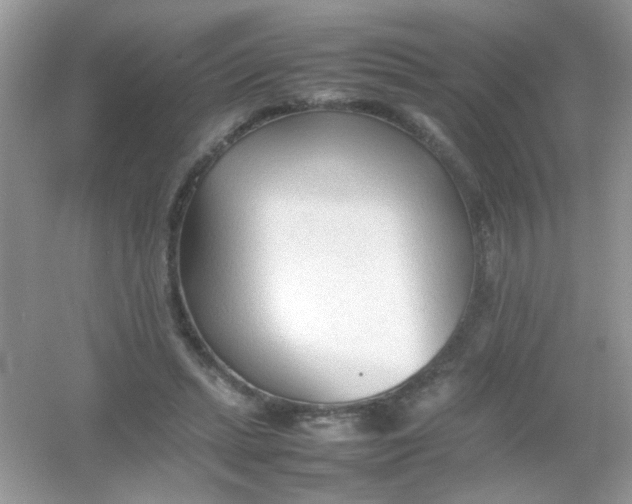X0000054330447200508111923.png