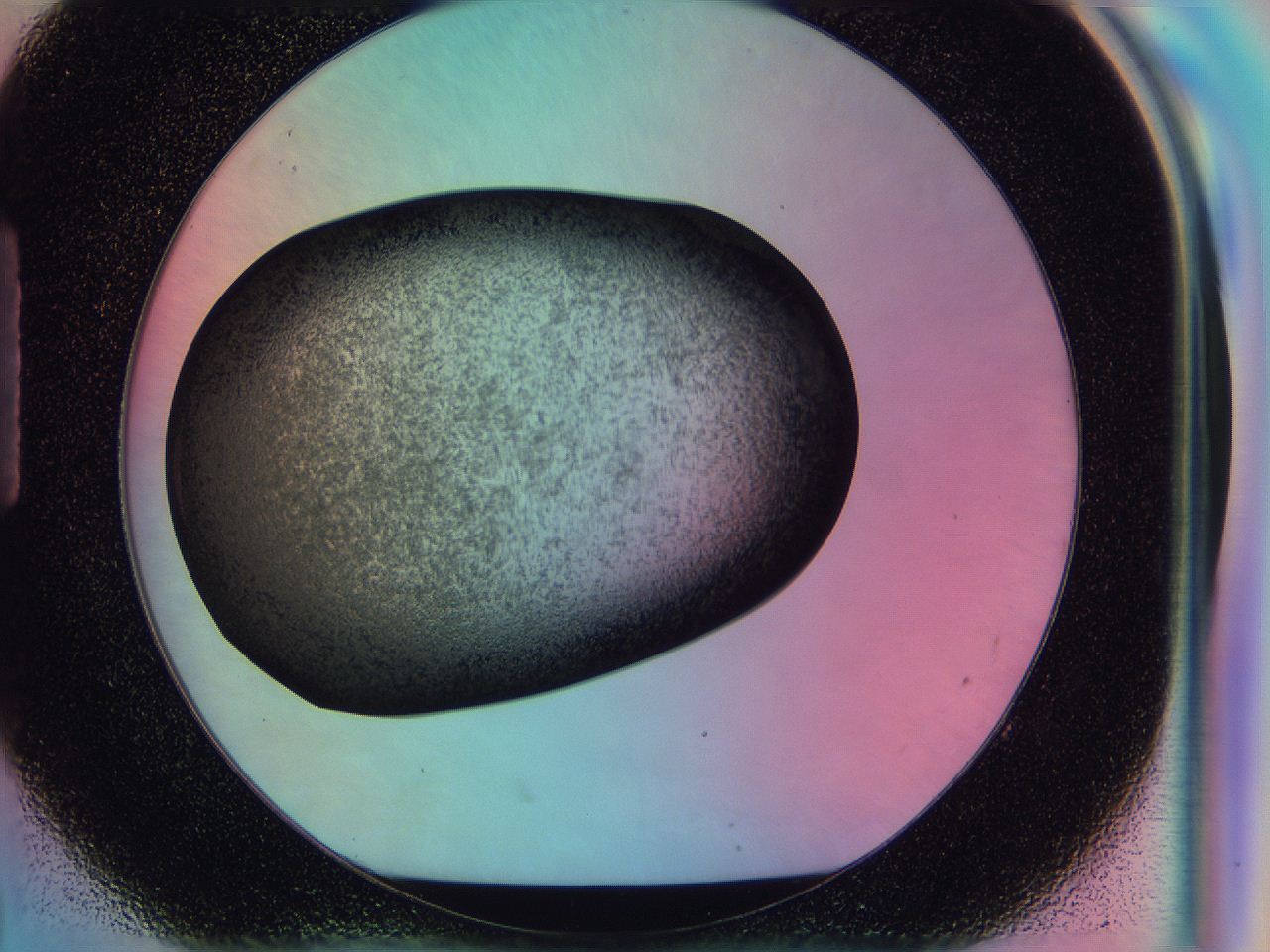 0583_H8_ImagerDefaults_3.jpg