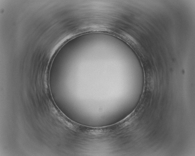X0000054651182200508091634.png