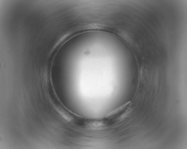 X0000054330156200508111928.png