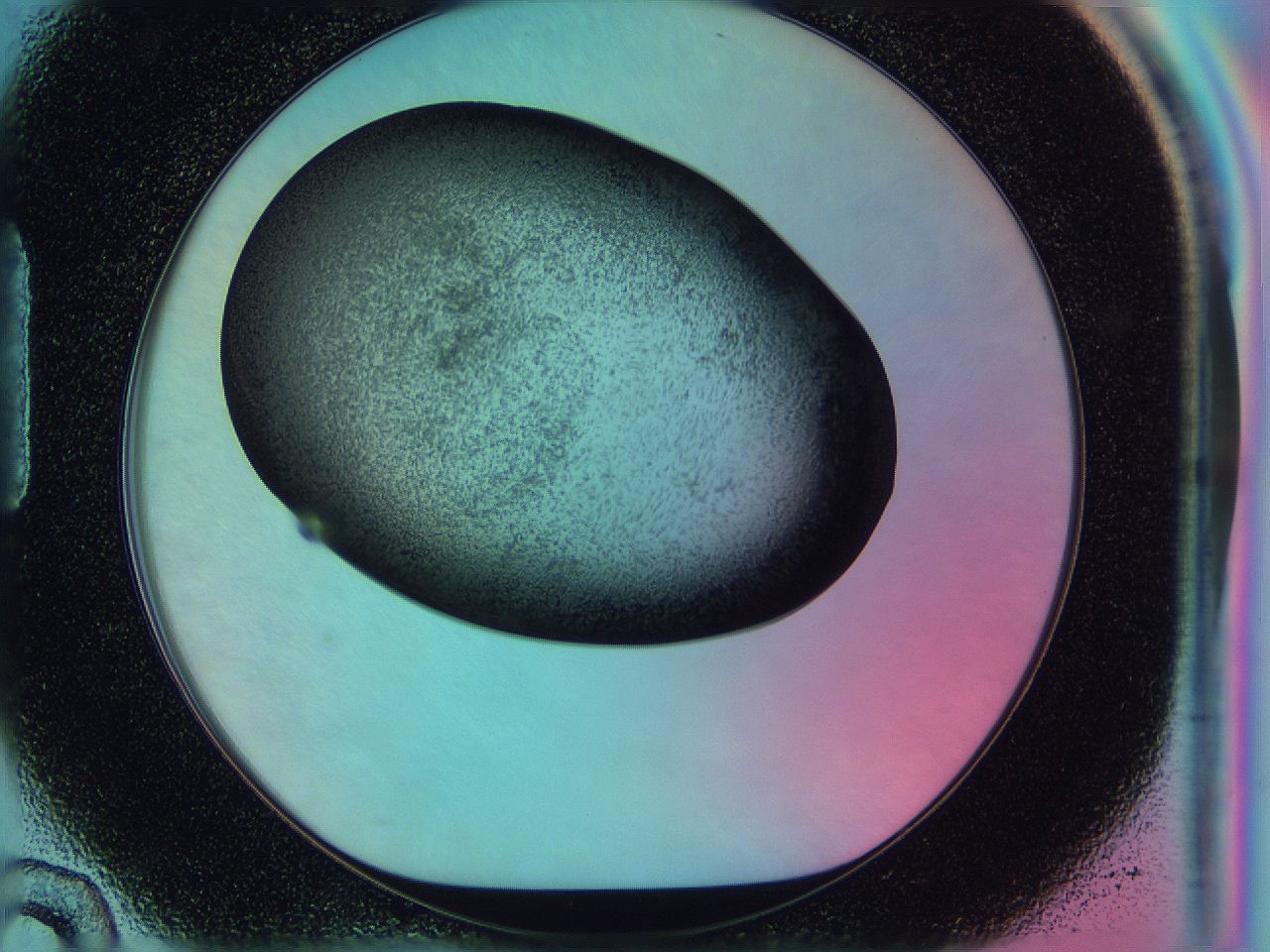 0583_H10_ImagerDefaults_3.jpg
