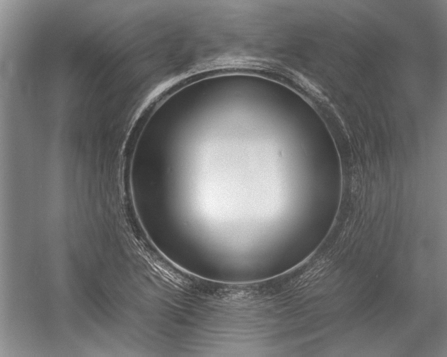 X0000055061222200508161637.png