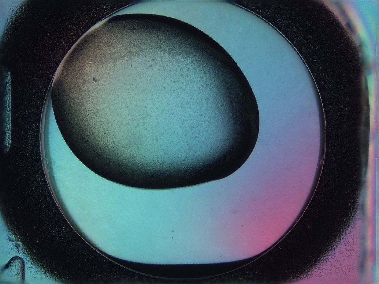 0583_H11_ImagerDefaults_3.jpg