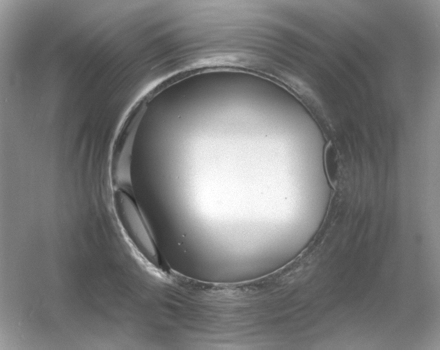 X0000054330792200508111918.png