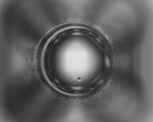X0000045450931200502011653.png