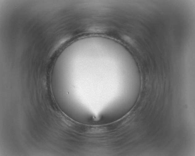 X0000054331307200508111908.png