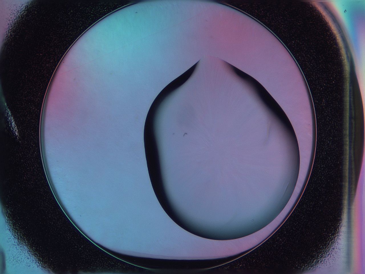 0584_A4_ImagerDefaults_0.jpg
