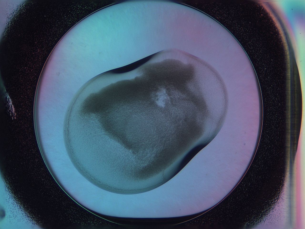 0584_A5_ImagerDefaults_3.jpg