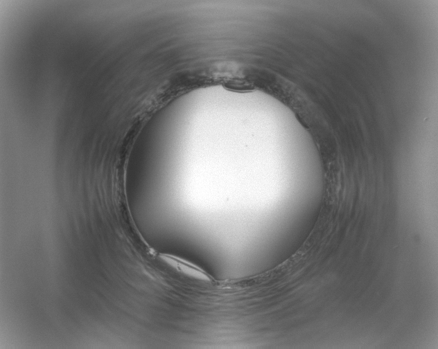 X0000054330704200508111919.png