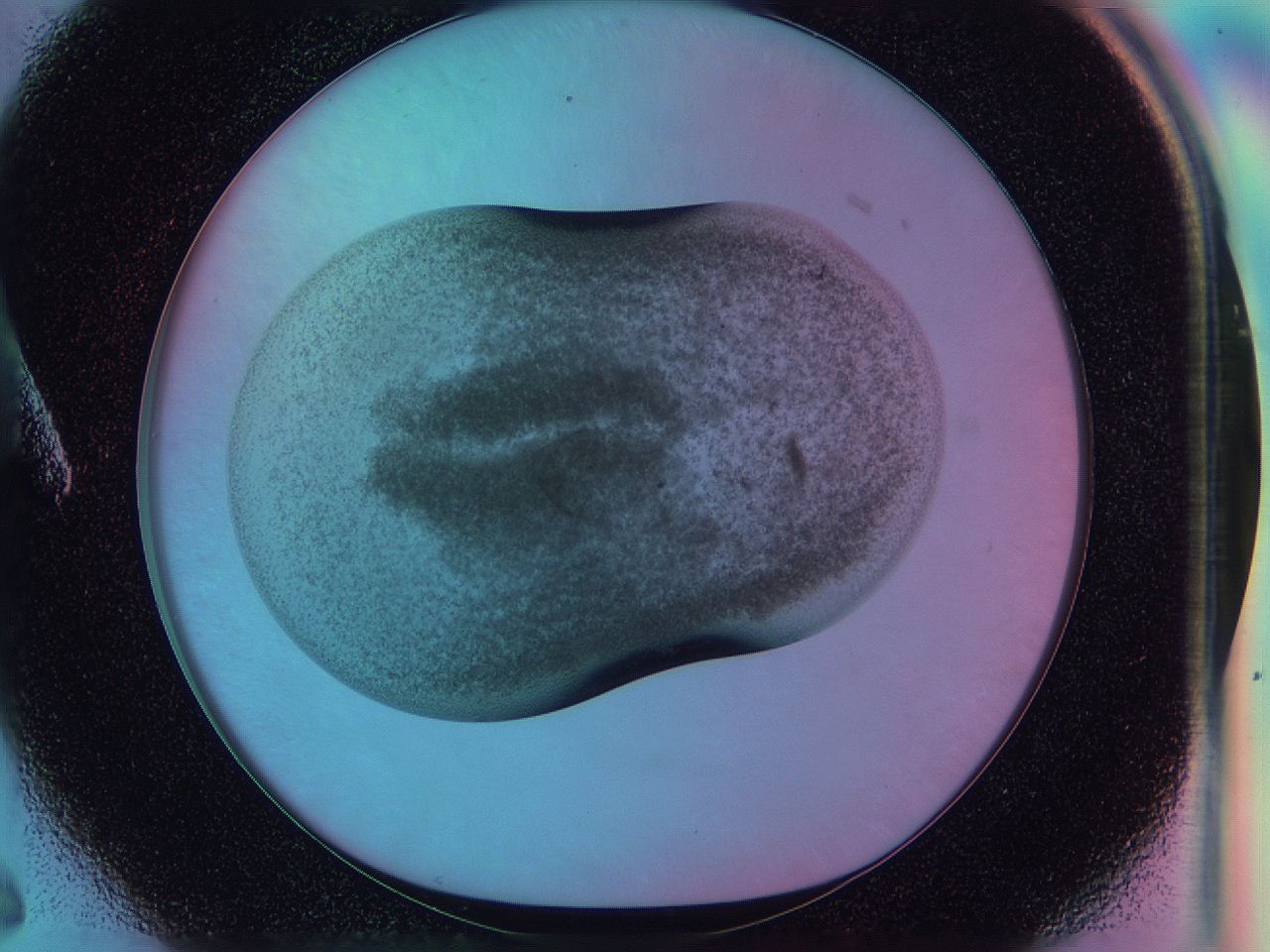 0584_A6_ImagerDefaults_3.jpg