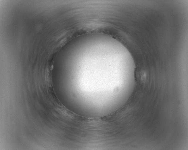 X0000054330964200508111915.png