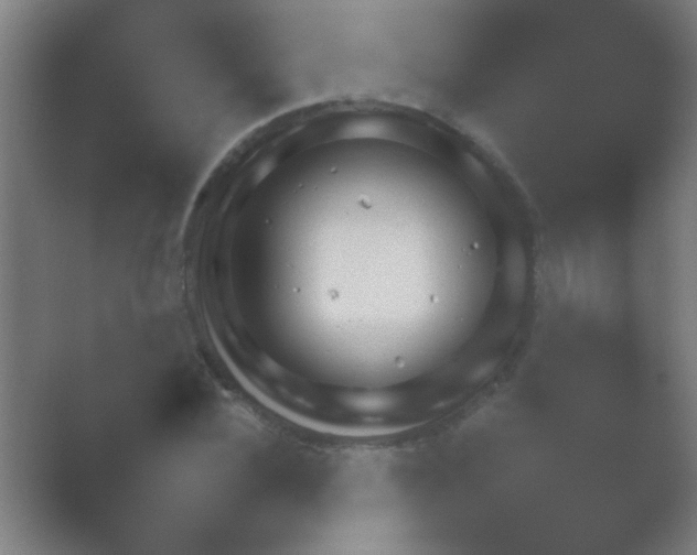 X0000054110924200508022055.png