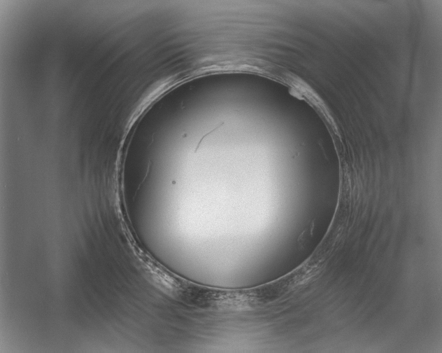 X0000055061002200508161641.png