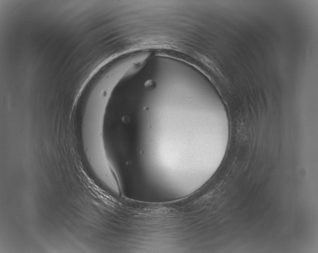 X0000055210926200508301318.png