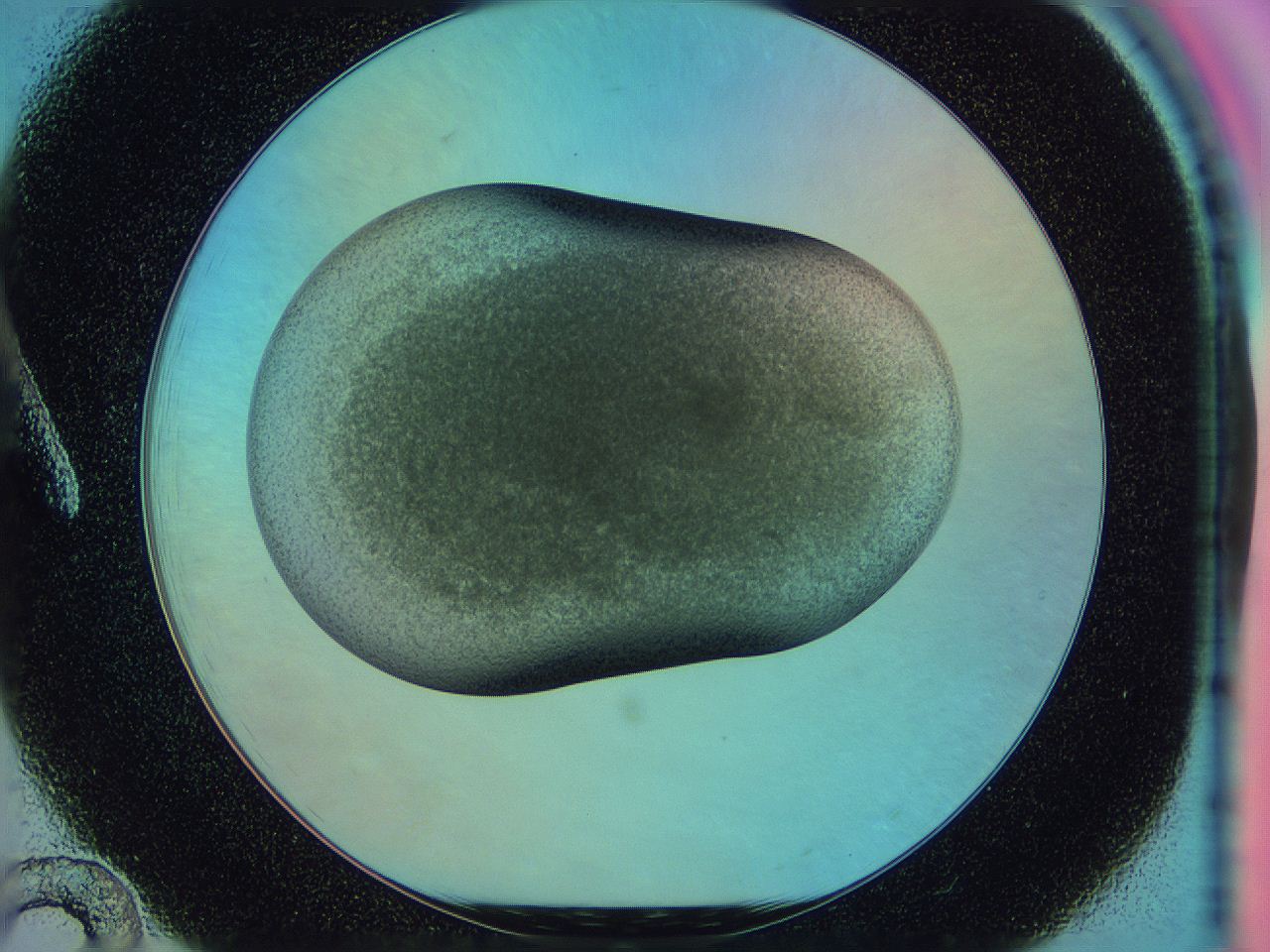 0584_A12_ImagerDefaults_3.jpg