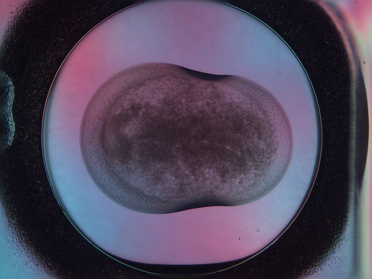 0584_B1_ImagerDefaults_3.jpg