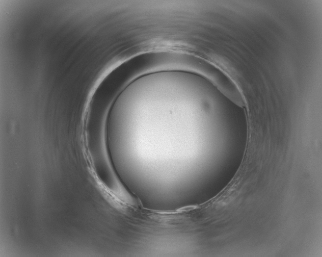 X0000055061152200508161639.png