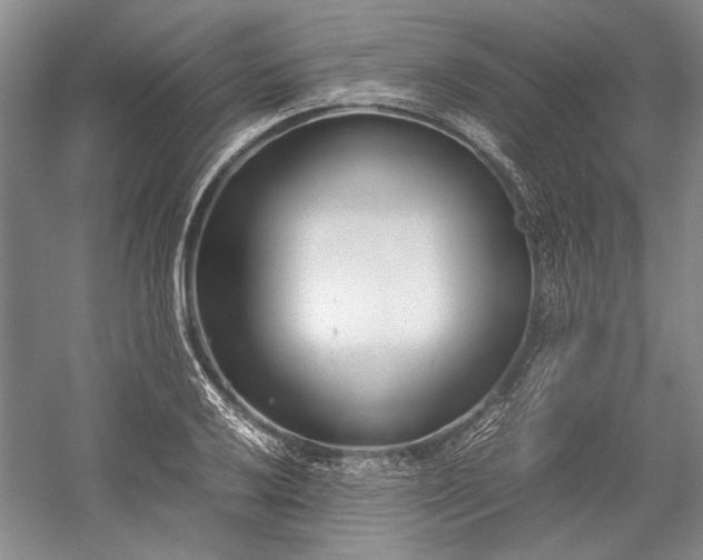 X0000055061032200508161640.png