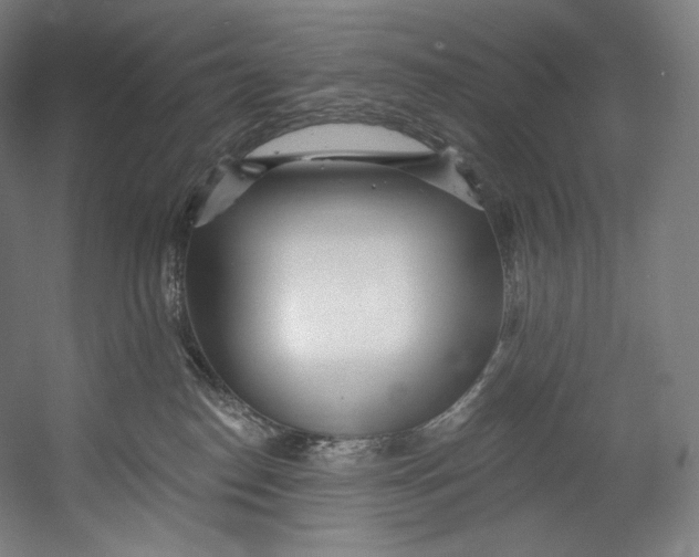 X0000055210186200508301331.png