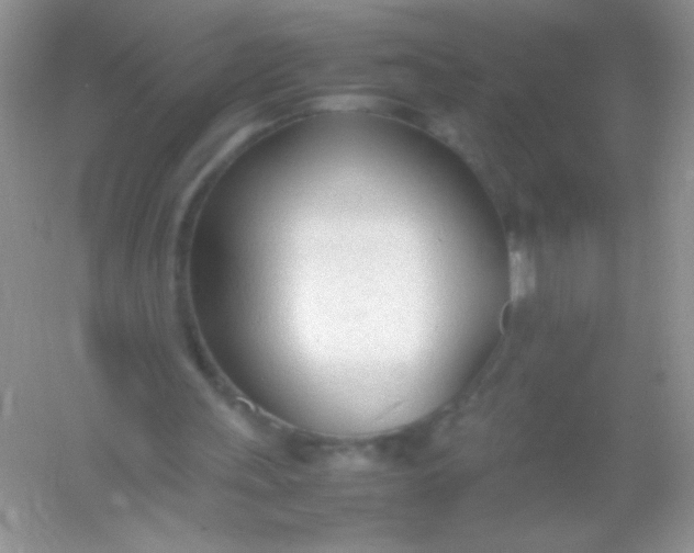 X0000054330243200508111926.png