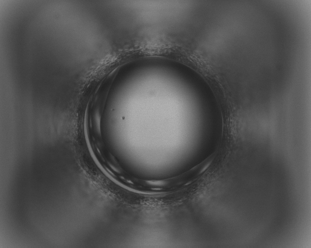 X0000040040690200410070846.png