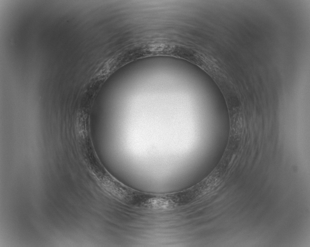 X0000055060272200508161653.png