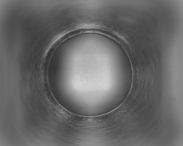 X0000055211311200508301311.png