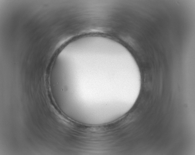 X0000054331404200508111907.png
