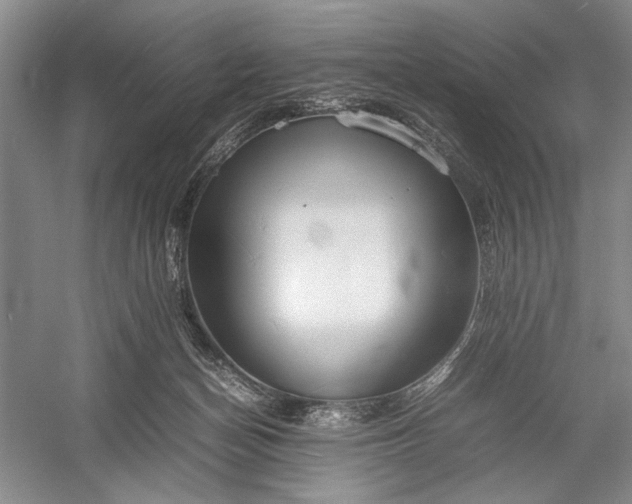 X0000055060174200508161655.png