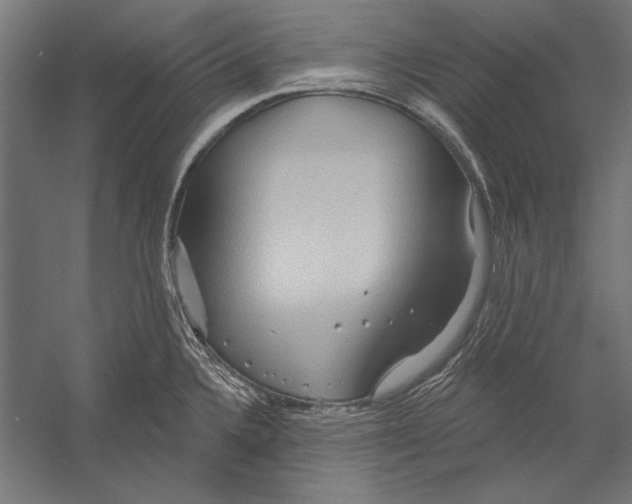 X0000055251336200509071605.png