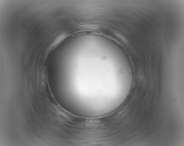 X0000054331354200508111908.png