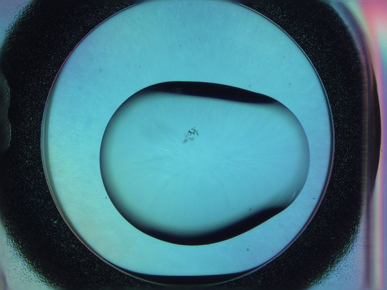 0584_B9_ImagerDefaults_1.jpg