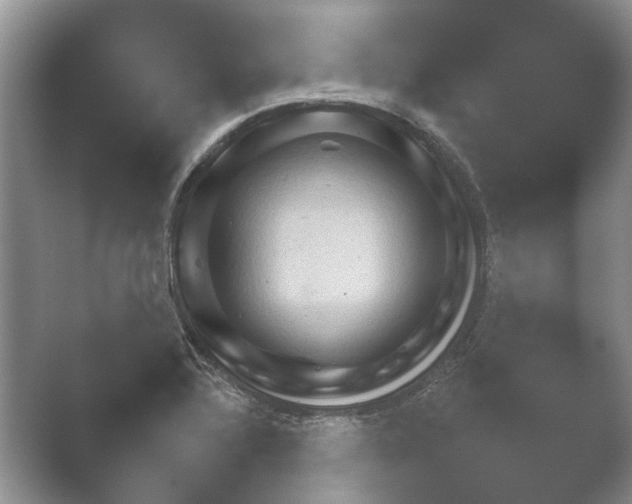 X0000052151320200507051941.png