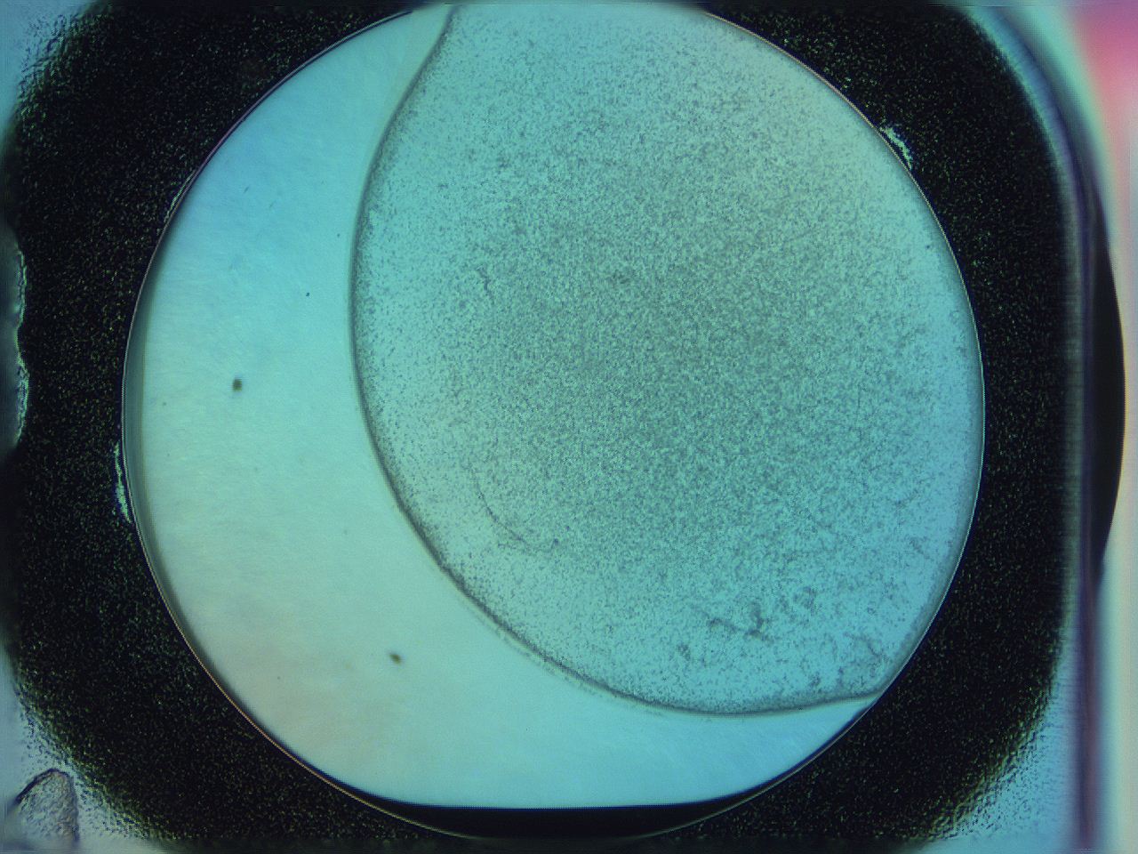 0584_B11_ImagerDefaults_2.jpg
