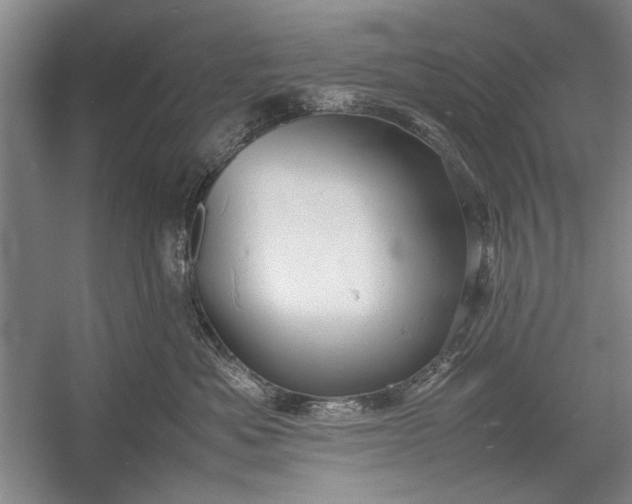 X0000055060525200508161649.png